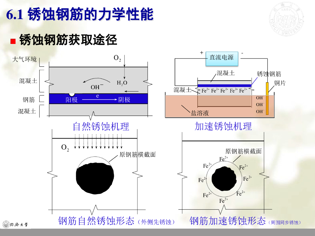 环境作用下结构受力性能的退化（52P）_第6页