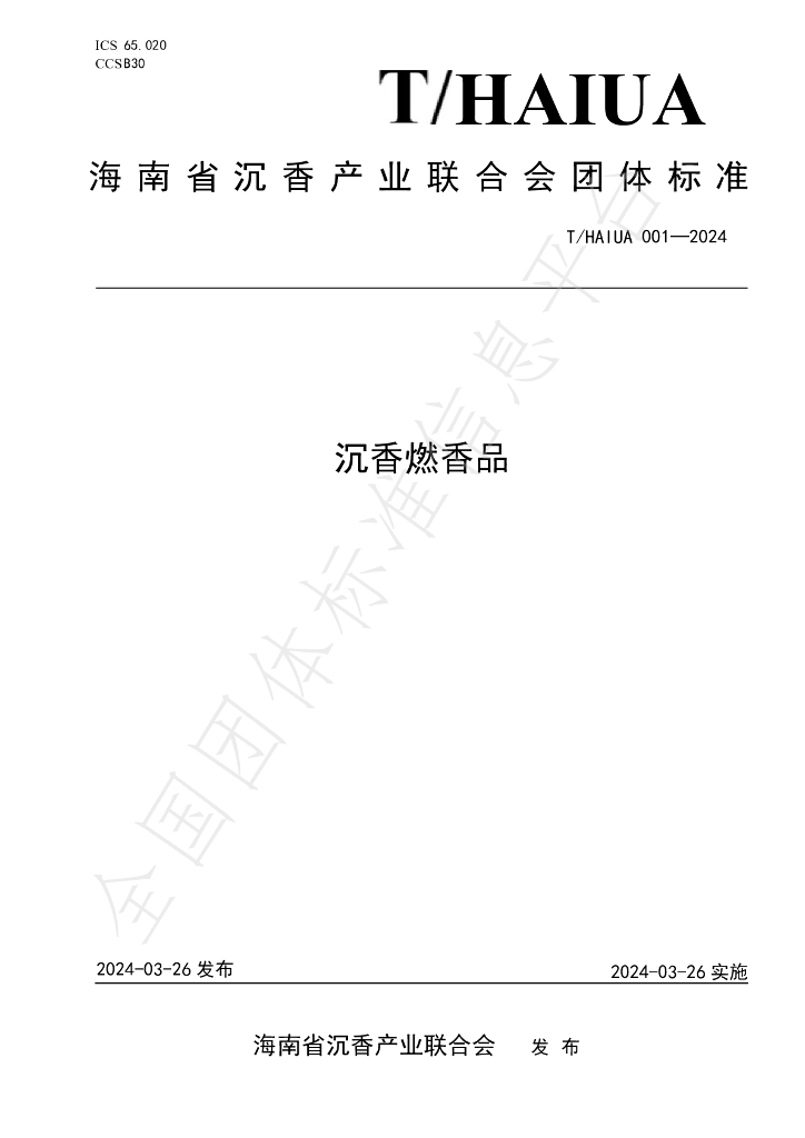 T/HAIUA 001-2024 标准预览