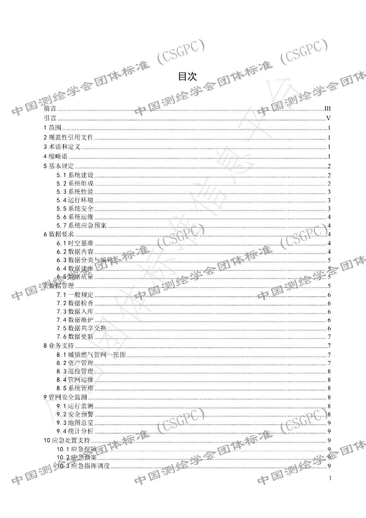 T/CSGPC 019-2024 标准预览