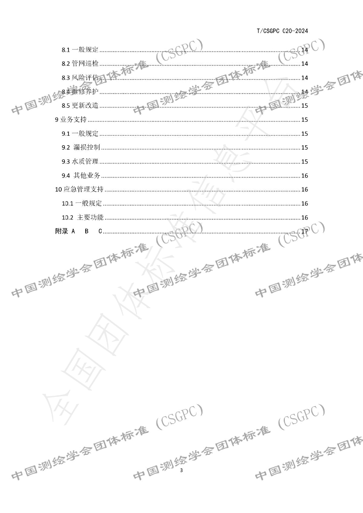 T/CSGPC 020-2024 标准预览