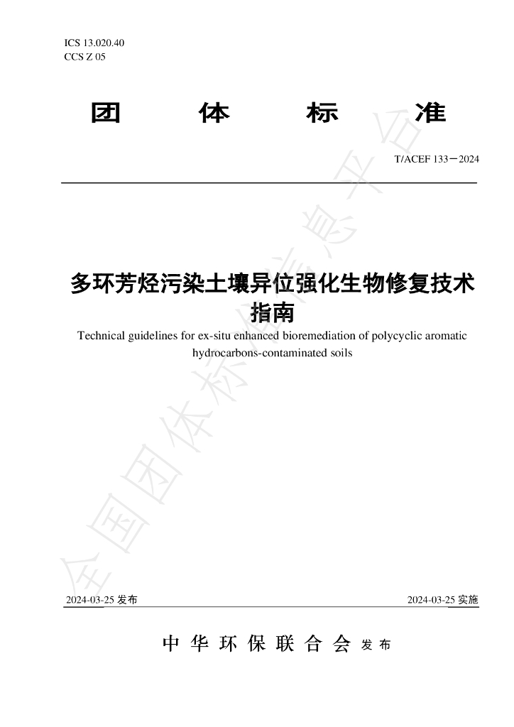 T/ACEF 133-2024 标准预览
