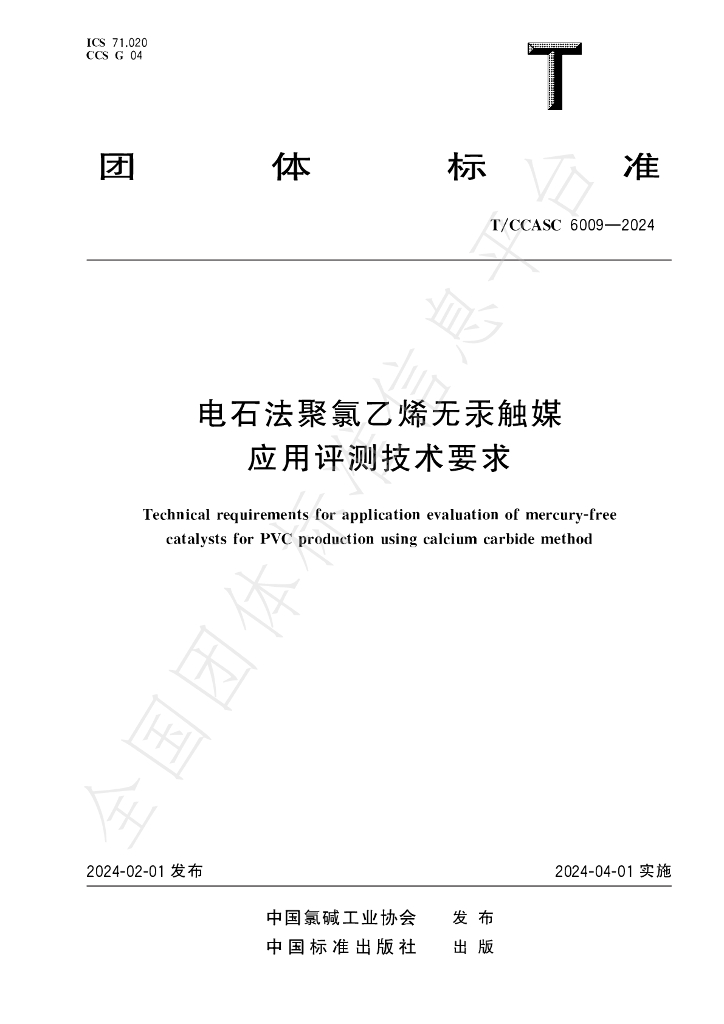 T/CCASC 6009-2024 标准预览