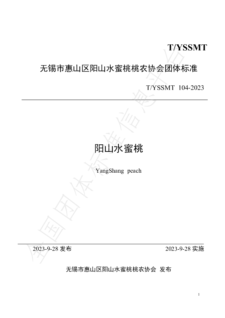 T/YSSMT 104-2023 标准预览