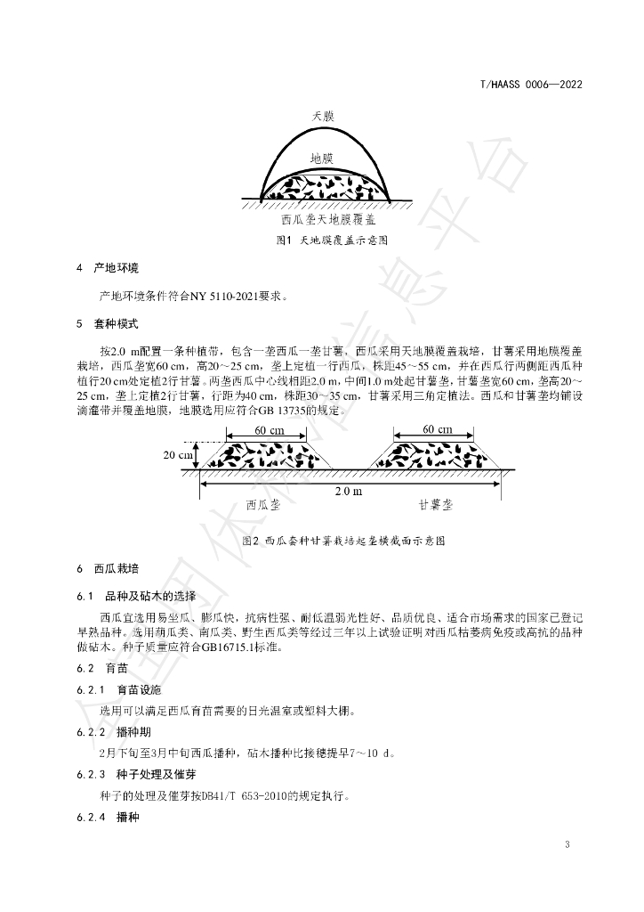T/HAASS 0006-2022 标准预览