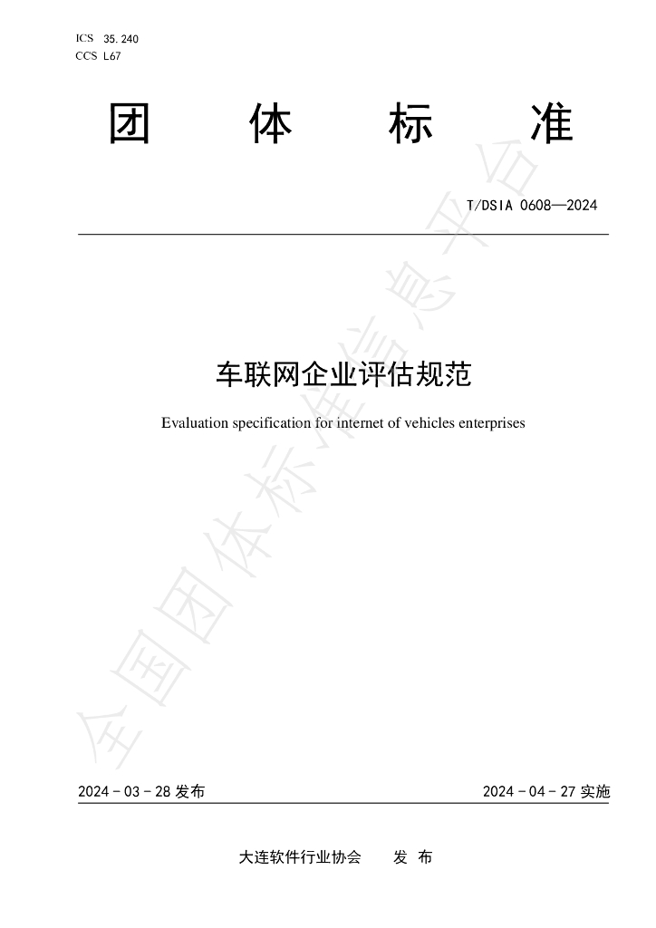 T/DSIA 0608-2024 标准预览