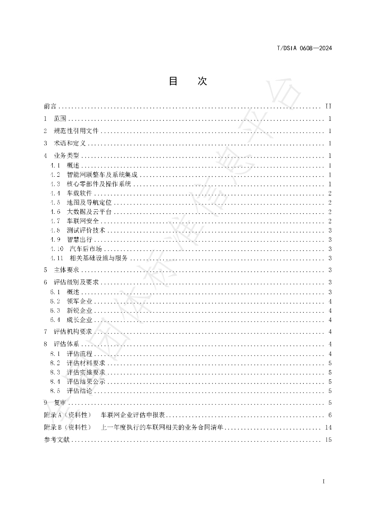 T/DSIA 0608-2024 标准预览