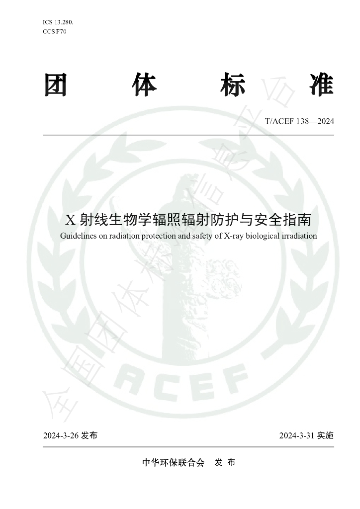 T/ACEF 138-2024 标准预览