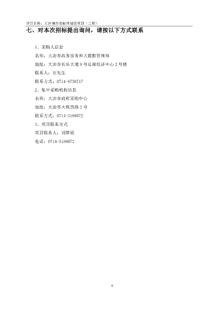 大冶城市智能体建设项目（二期）招标文件_第9页