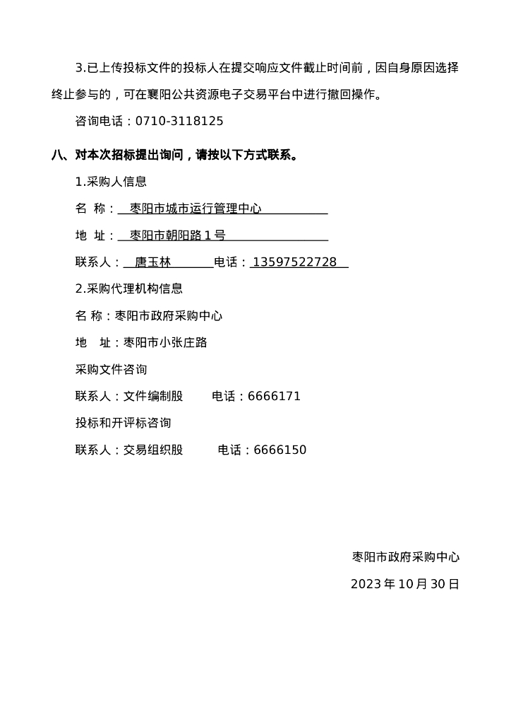 枣阳市城市运行管理基础设施（补短板）服务项目招标文件_第6页