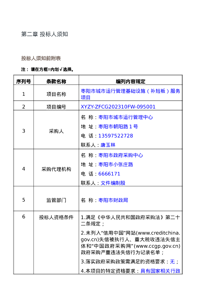枣阳市城市运行管理基础设施（补短板）服务项目招标文件_第7页