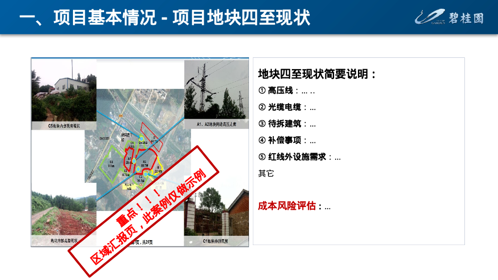 非责任包干项目成本策划（模板）_第7页