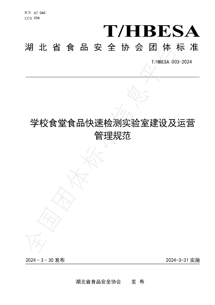 T/HBESA 003-2024 标准预览