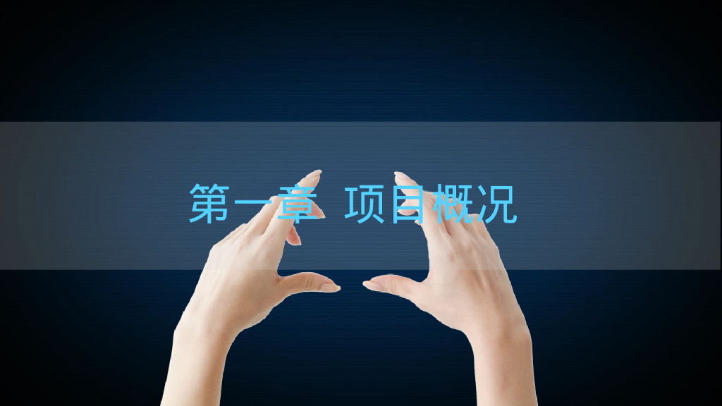 bim利用幕墙的可排可调提升工程质量PPT文件_第6页