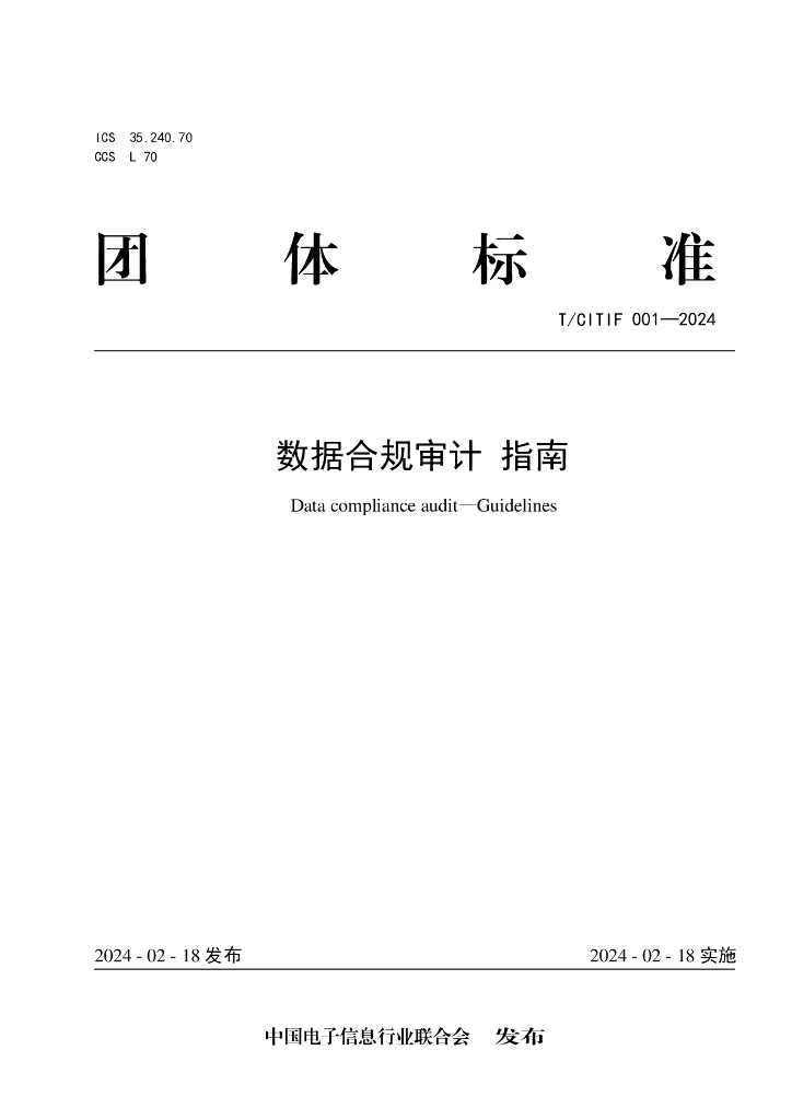 T/CITIF 001-2024 标准预览