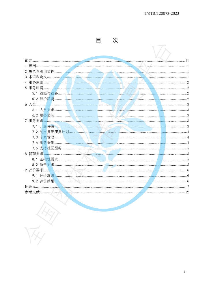 T/STIC 120073-2023 标准预览