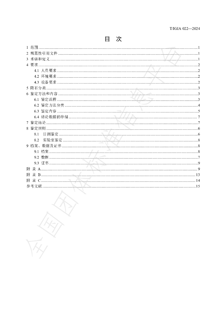 T/IGIA 022-2024 标准预览