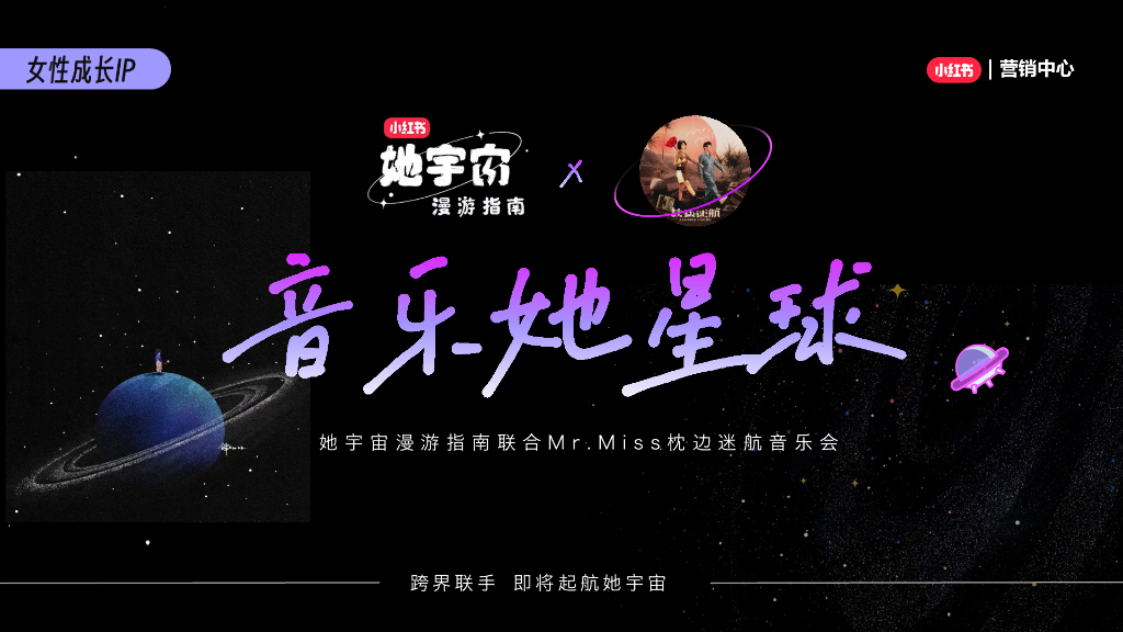 音乐她星球x刘恋音乐会招商方案