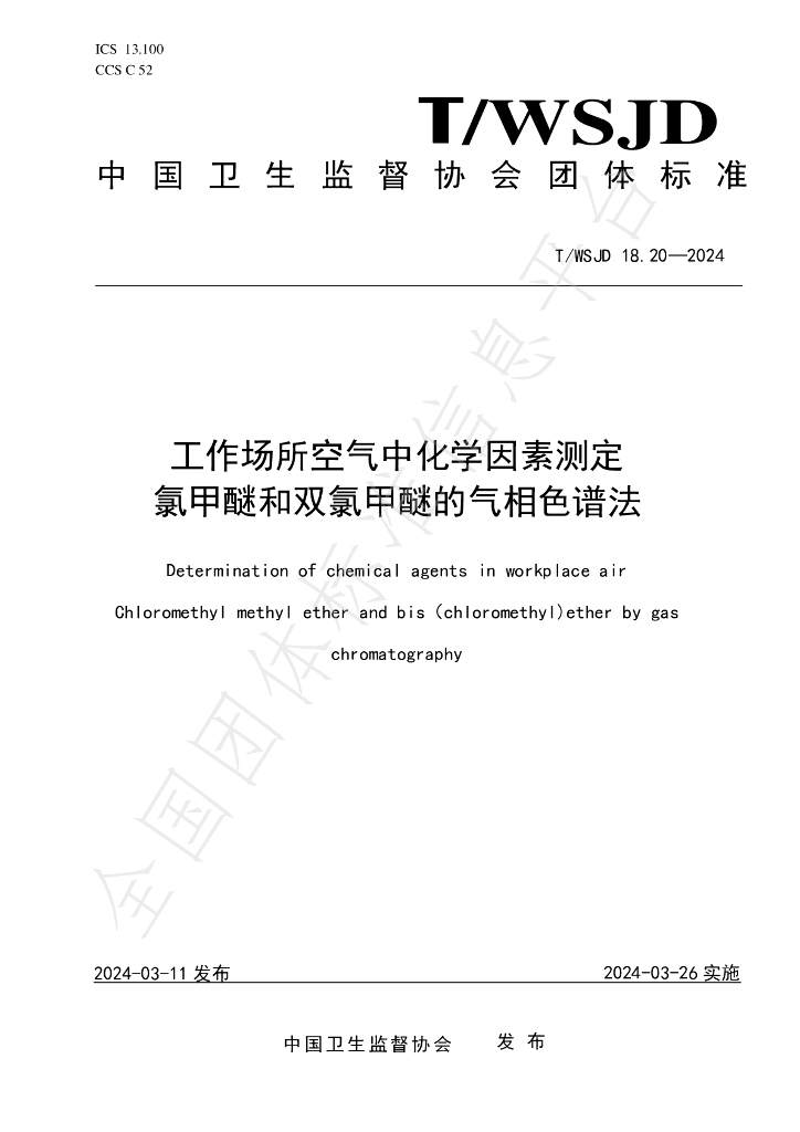 T/WSJD 18.20-2024 标准预览