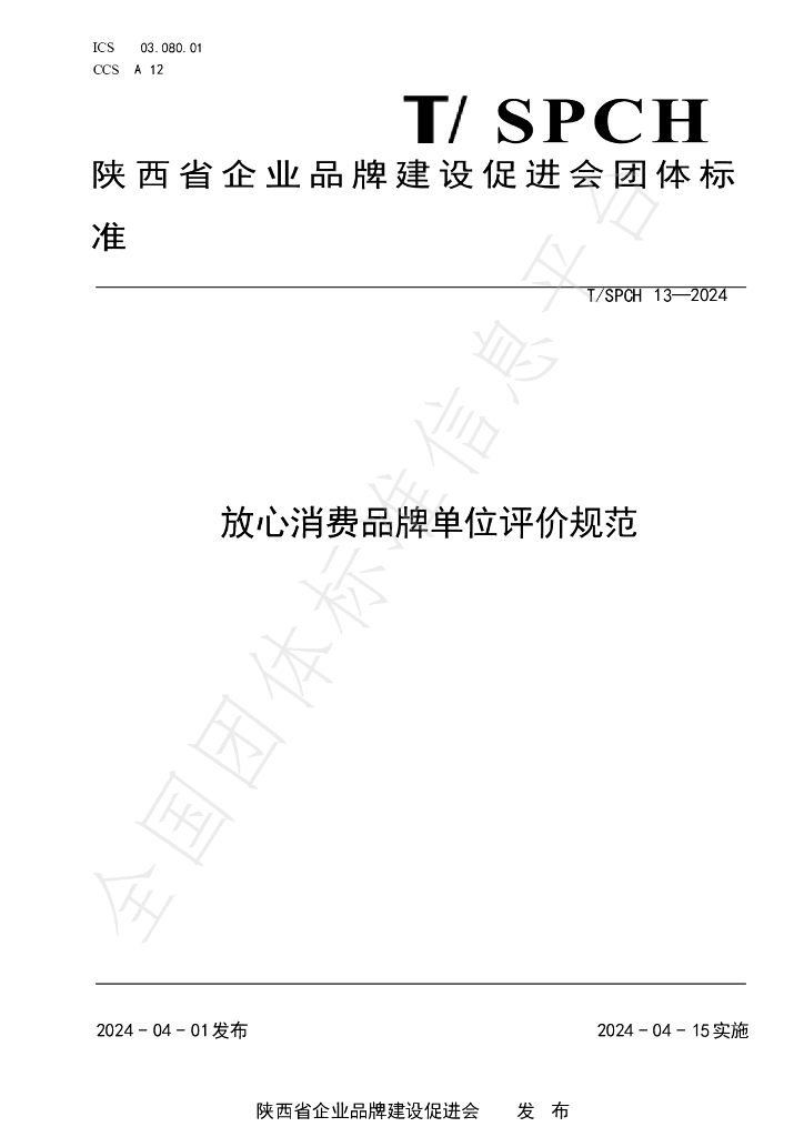 T/SPCH 13-2024 标准预览