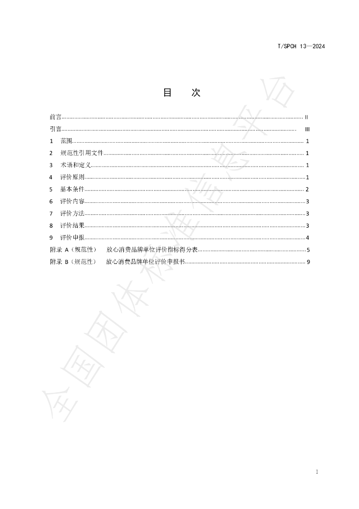 T/SPCH 13-2024 标准预览