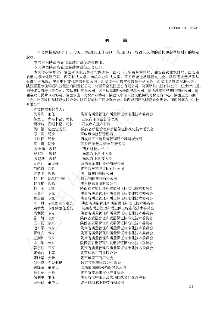 T/SPCH 13-2024 标准预览