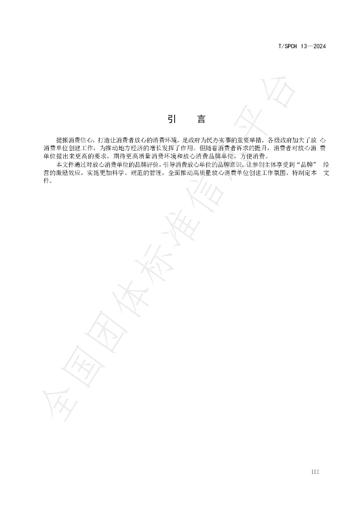 T/SPCH 13-2024 标准预览