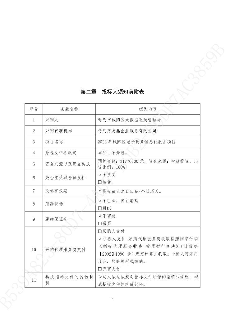 数字政府-青岛市城阳区2023年城阳区电子政务信息化服务项目招标文件_第7页