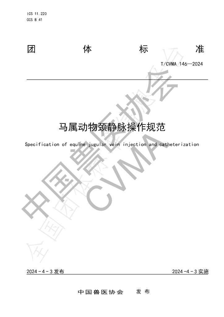 T/CVMA 146-2024 标准预览