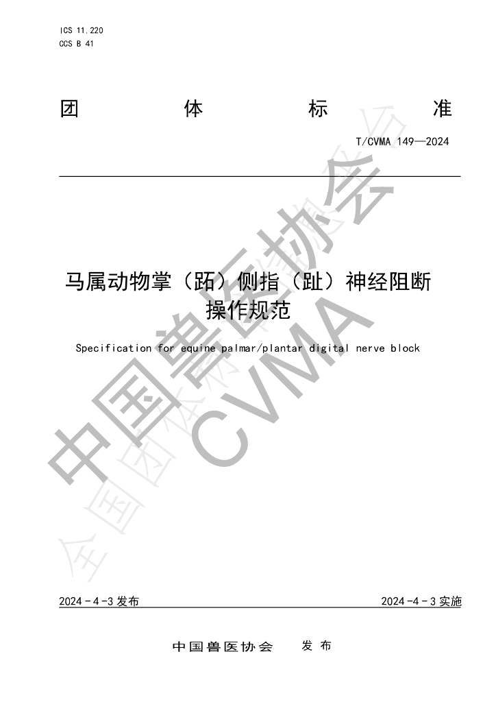 T/CVMA 149-2024 标准预览