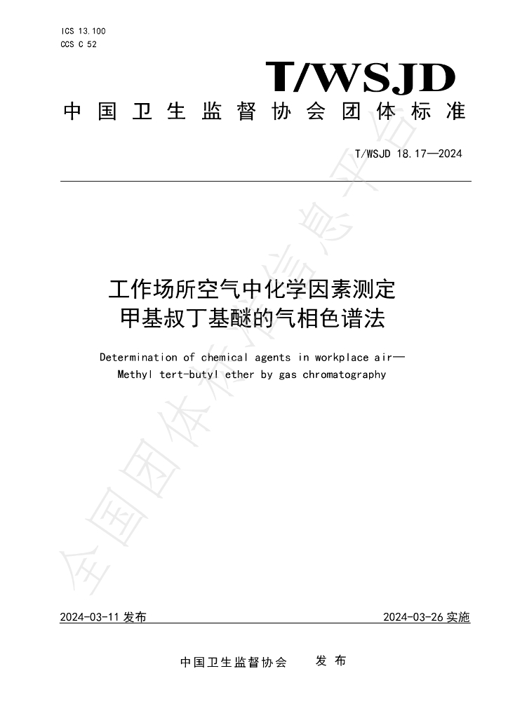 T/WSJD 18.17-2024 标准预览