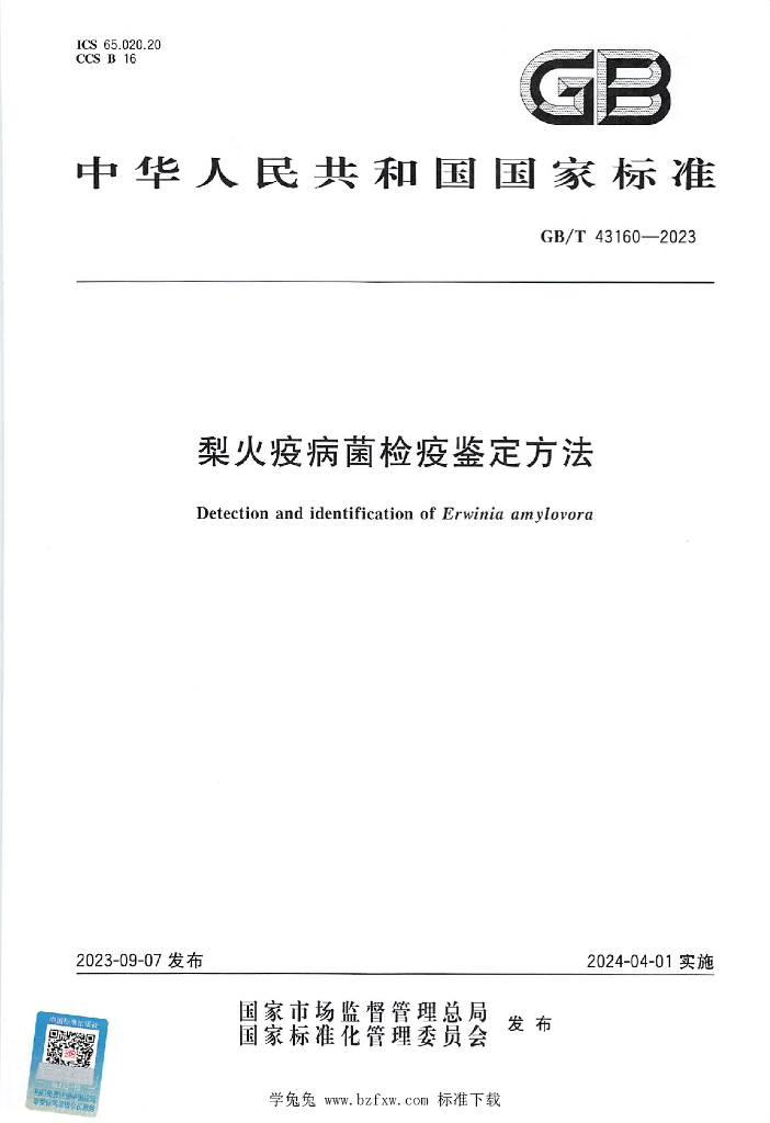 GB/T 43160-2023 标准预览