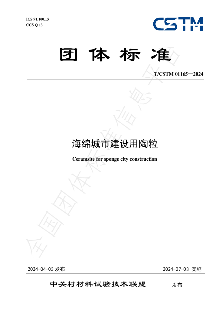 T/CSTM 01165-2024 标准预览