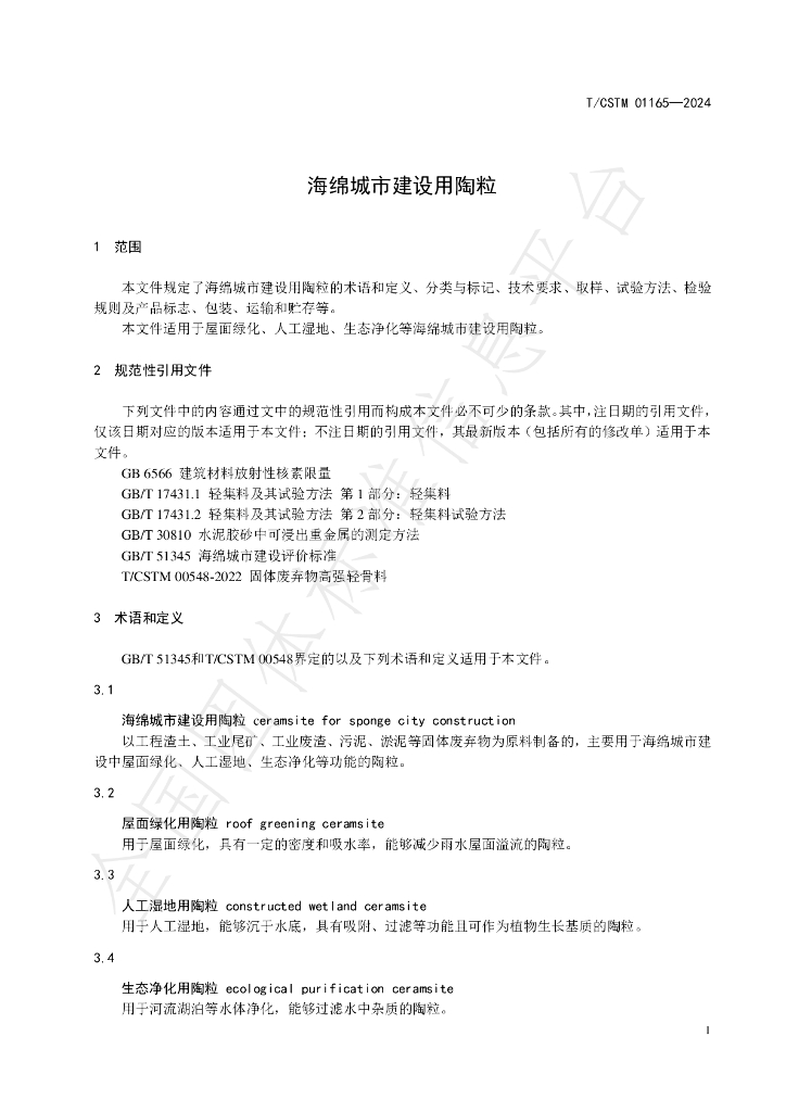 T/CSTM 01165-2024 标准预览