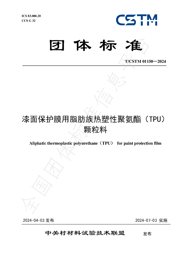 T/CSTM 01150-2024 标准预览
