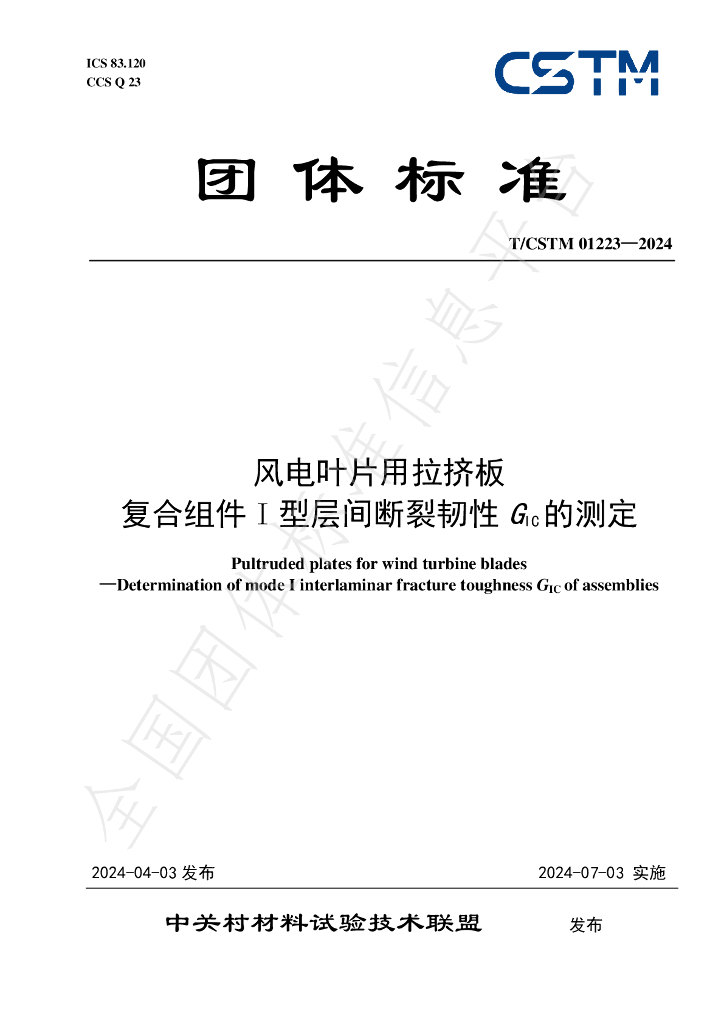 T/CSTM 01223-2024 标准预览