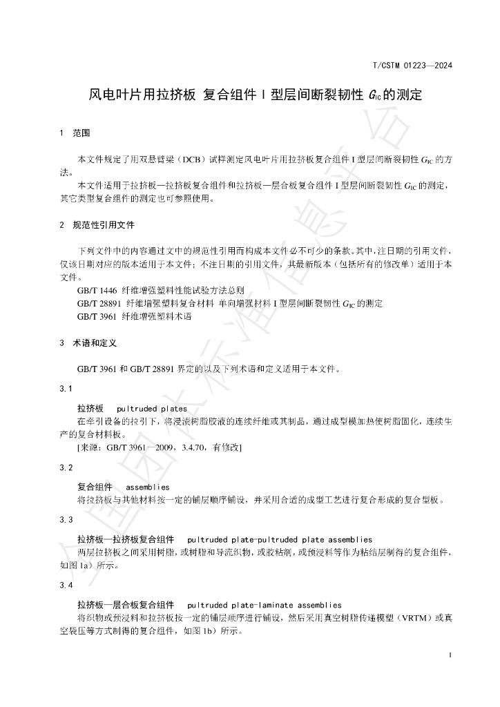 T/CSTM 01223-2024 标准预览