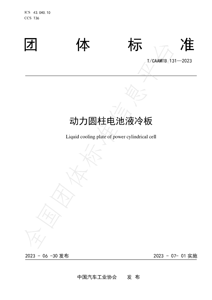 T/CAAMTB 131-2023 标准预览