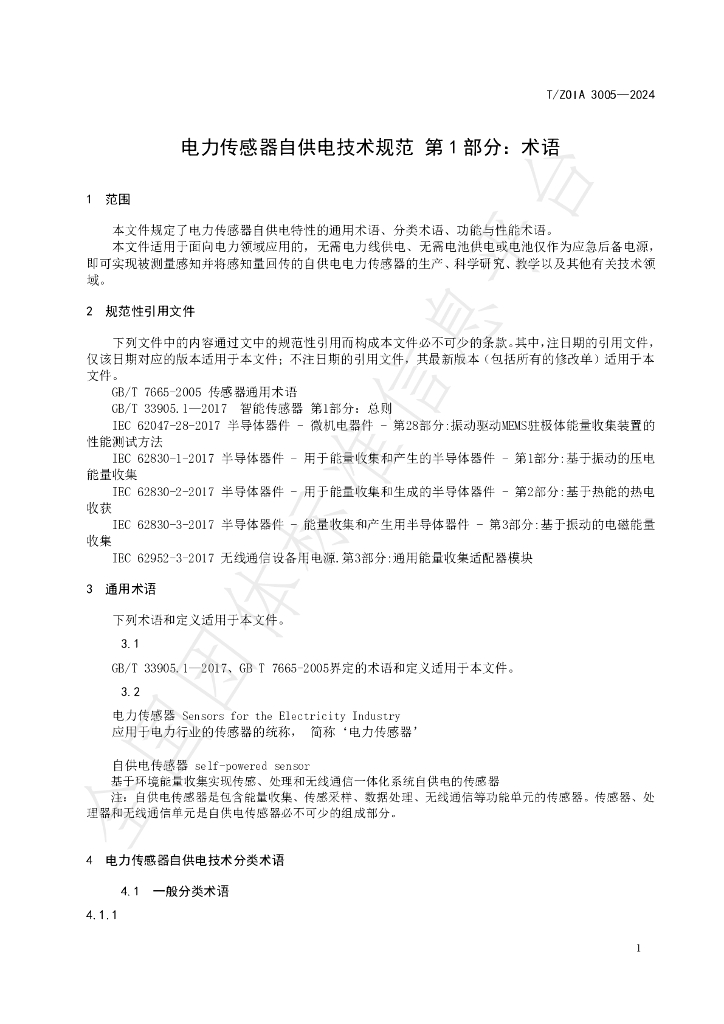 T/ZOIA 3005-2024 标准预览