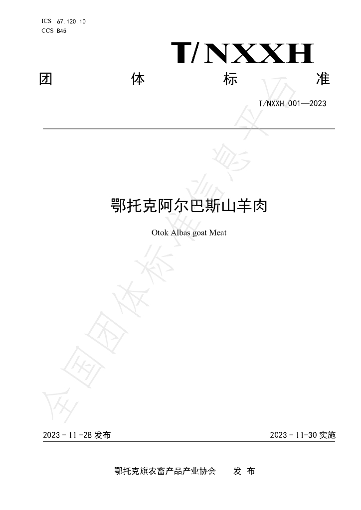 T/NXXH 001-2023 标准预览