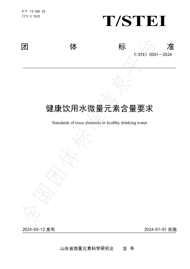 T/STEI 0001-2024 标准预览