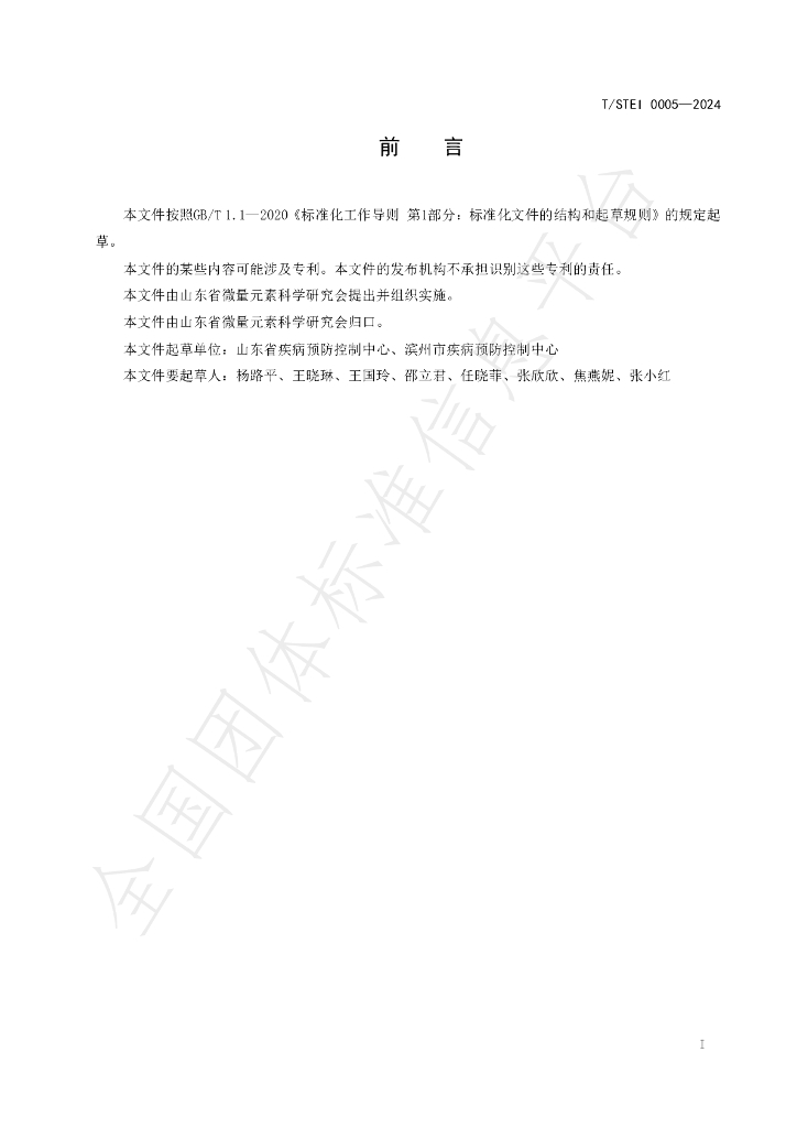 T/STEI 0005-2024 标准预览