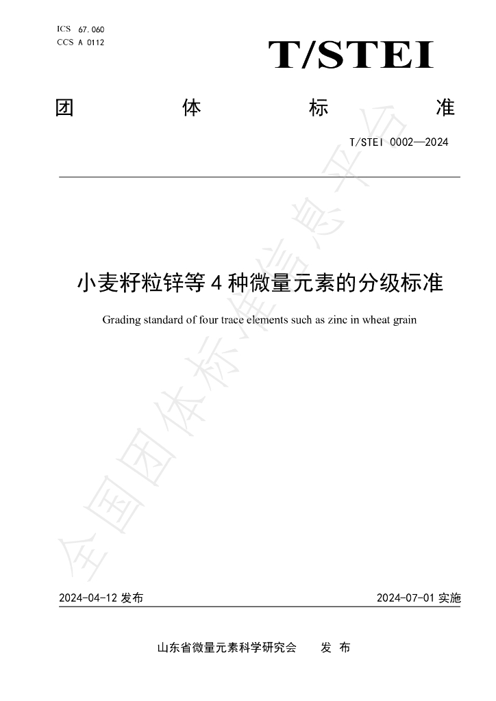 T/STEI 0002-2024 标准预览