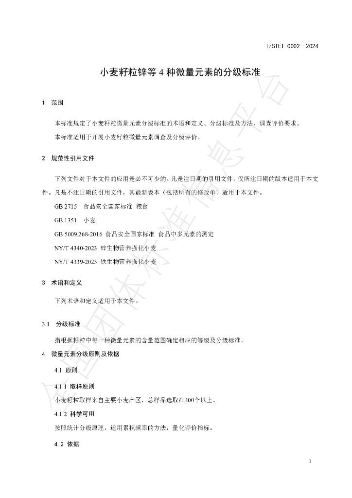 T/STEI 0002-2024 标准预览