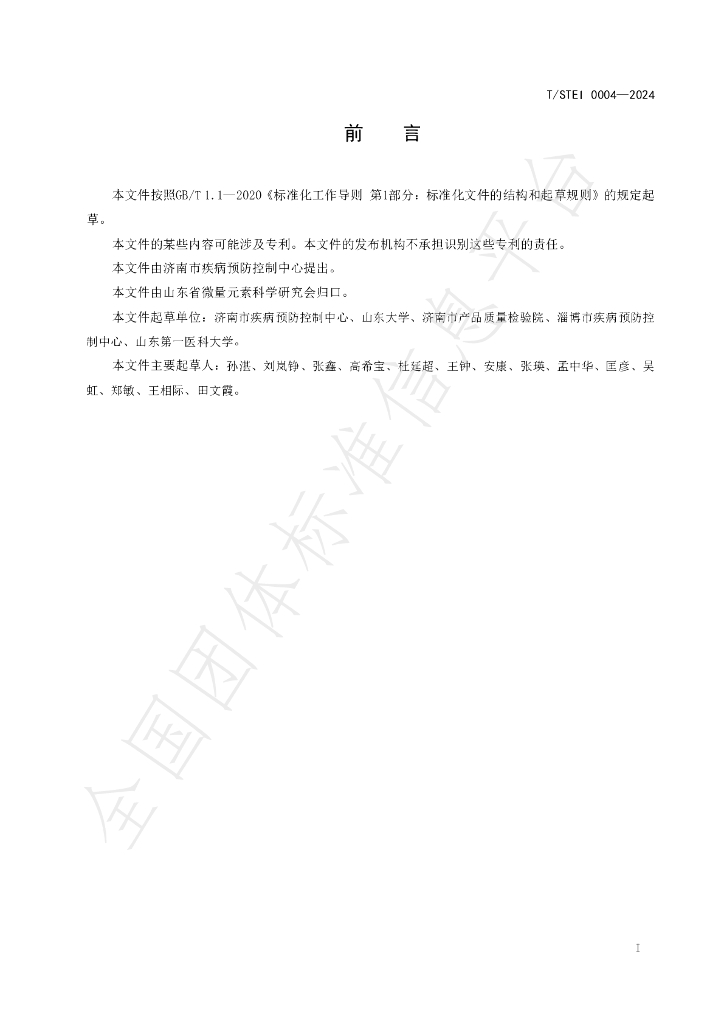 T/STEI 0004-2024 标准预览