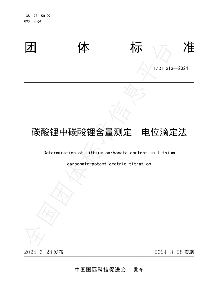 T/CI 313-2024 标准预览