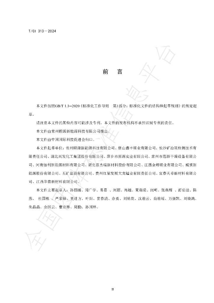 T/CI 313-2024 标准预览