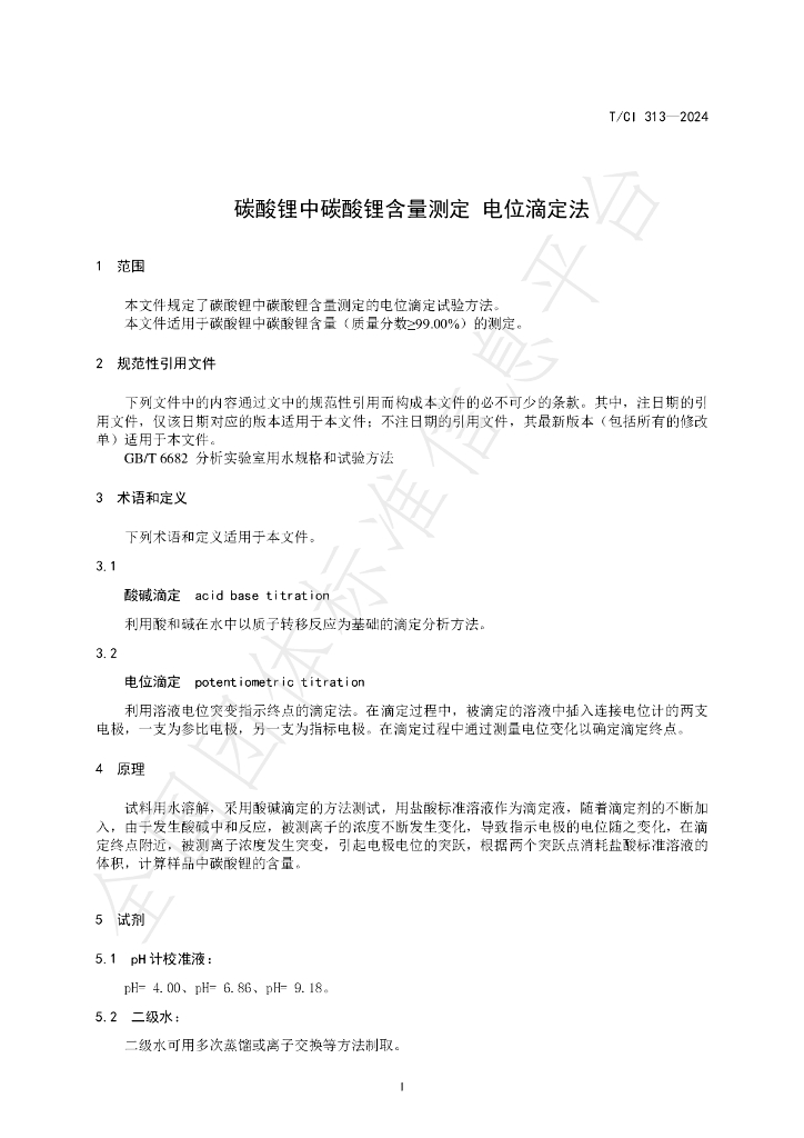 T/CI 313-2024 标准预览