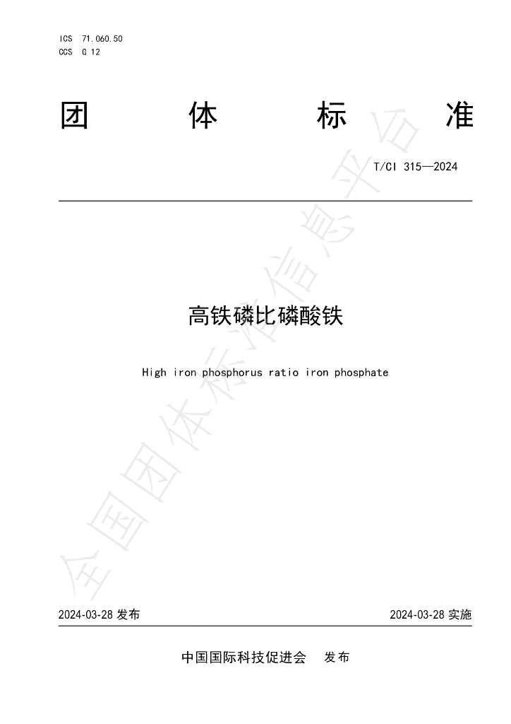 T/CI 315-2024 标准预览