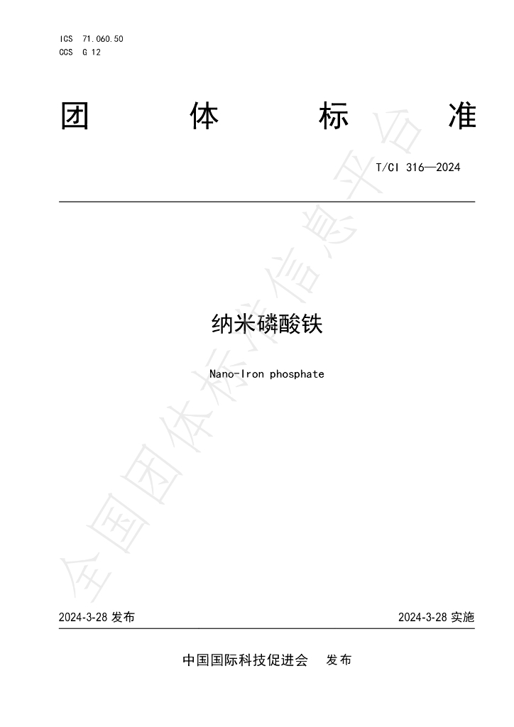 T/CI 316-2024 标准预览