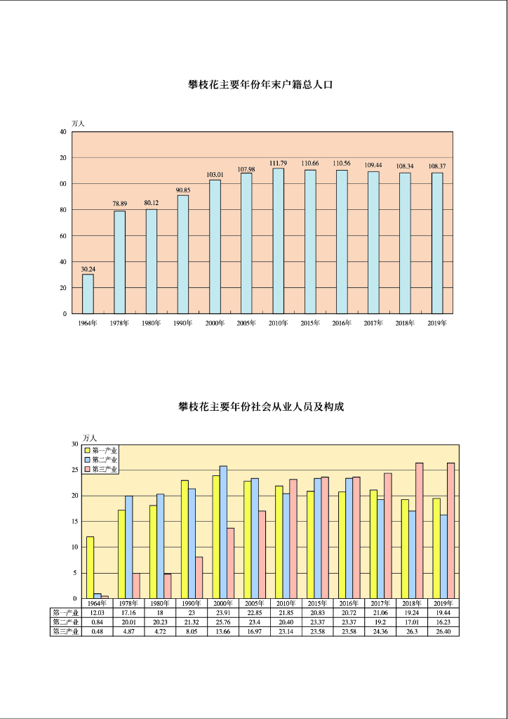 攀枝花统计年鉴2020_第9页